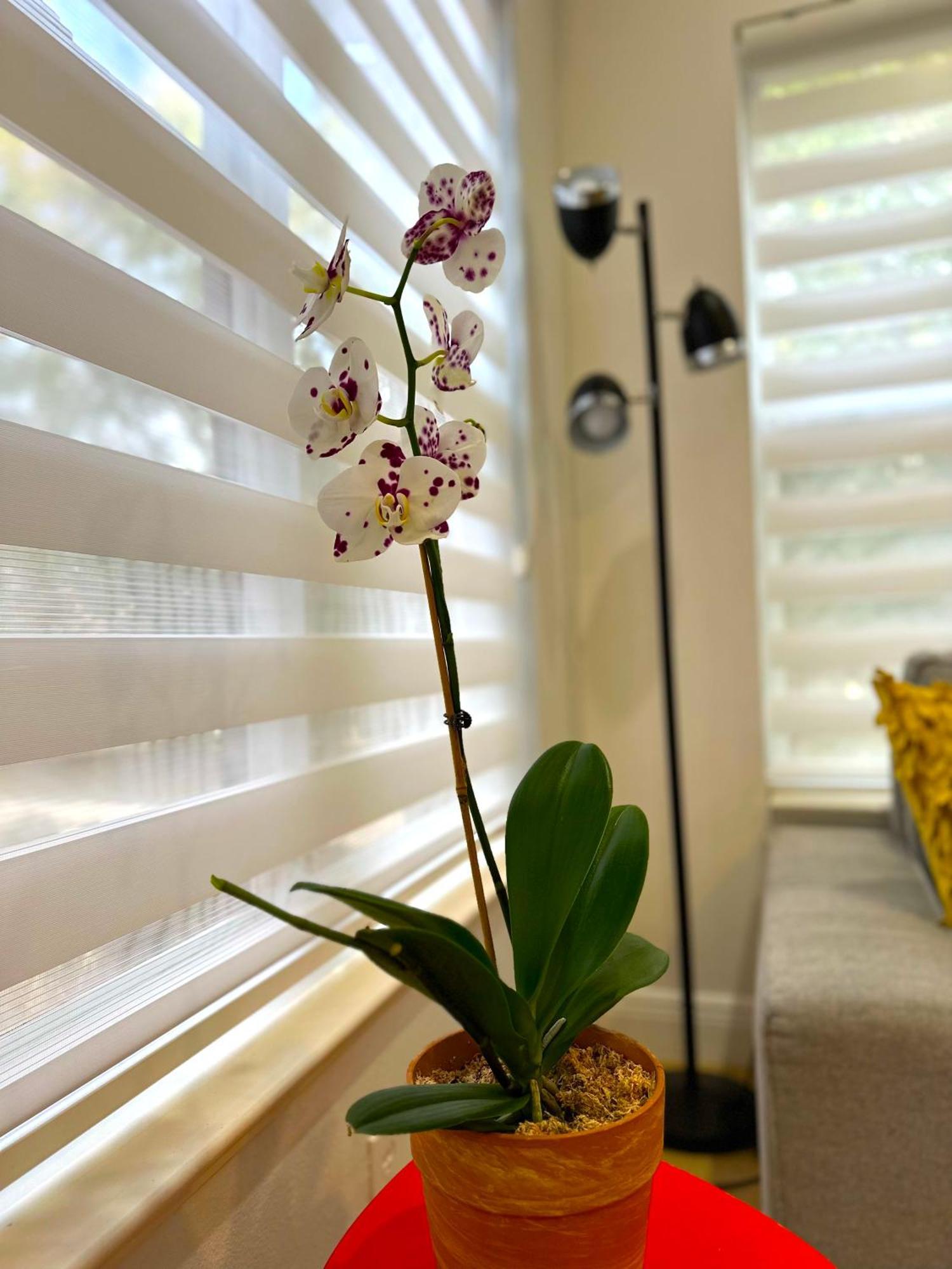 Albatross Condo In Pga Village, 2 Bedroom 1 Bath, A Side Carlton エクステリア 写真